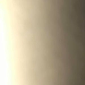 Meet your Posher, Max